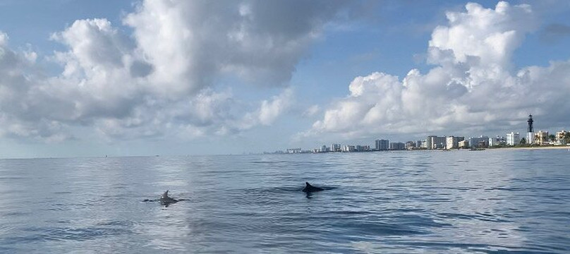 Perfect Timing Tours-庞帕诺比奇必去景点