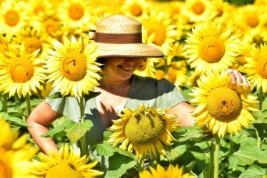 Padrya Bucar-佛罗伦萨必去景点