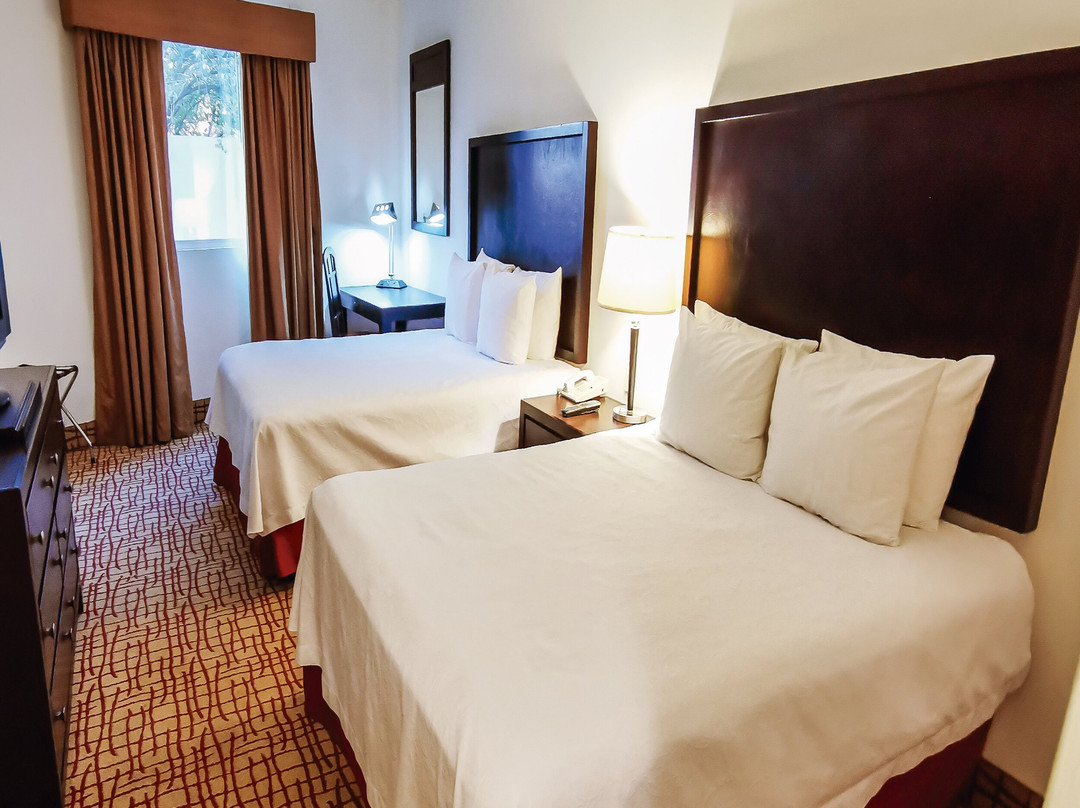 Wyndham Garden Tecnológico主图