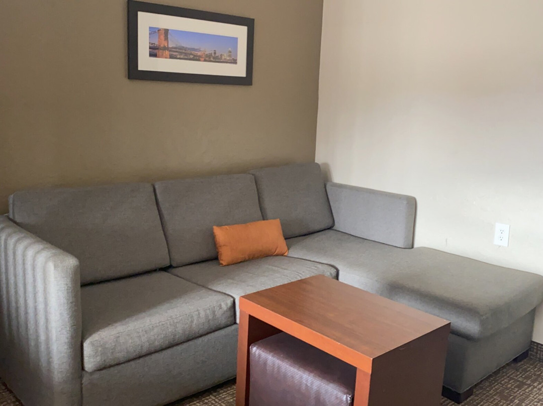 Comfort Suites Florence - Cincinnati South主图