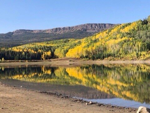 Yampa Valley Anglers-斯廷博特斯普林斯必去景点