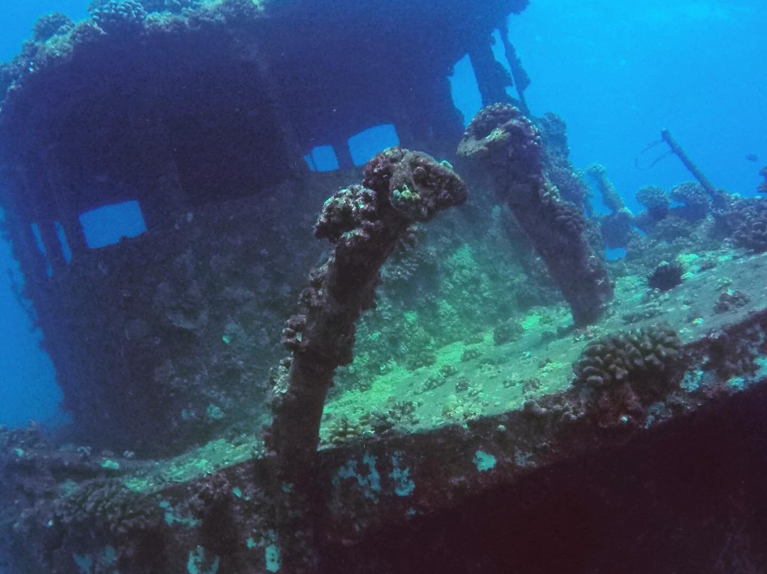 Honolulu Scuba Company-火奴鲁鲁必去景点