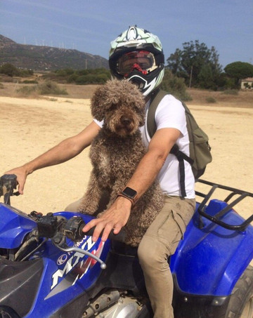 Quads Tarifa-塔里法必去景点