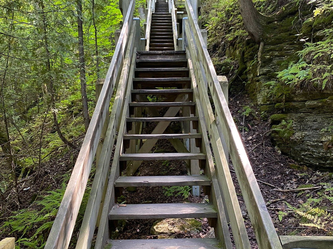 Annie's Island Moped Rentals-Washington Island必去景点