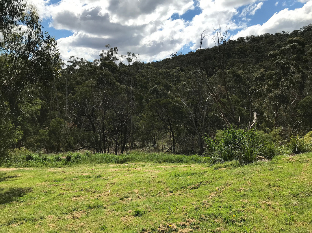 Glenfern Valley Bushlands景点图片