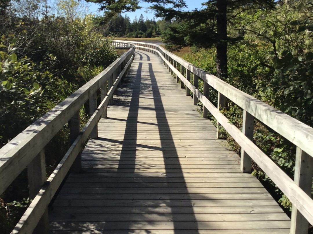 Rissers Beach Provincial Park景点图片