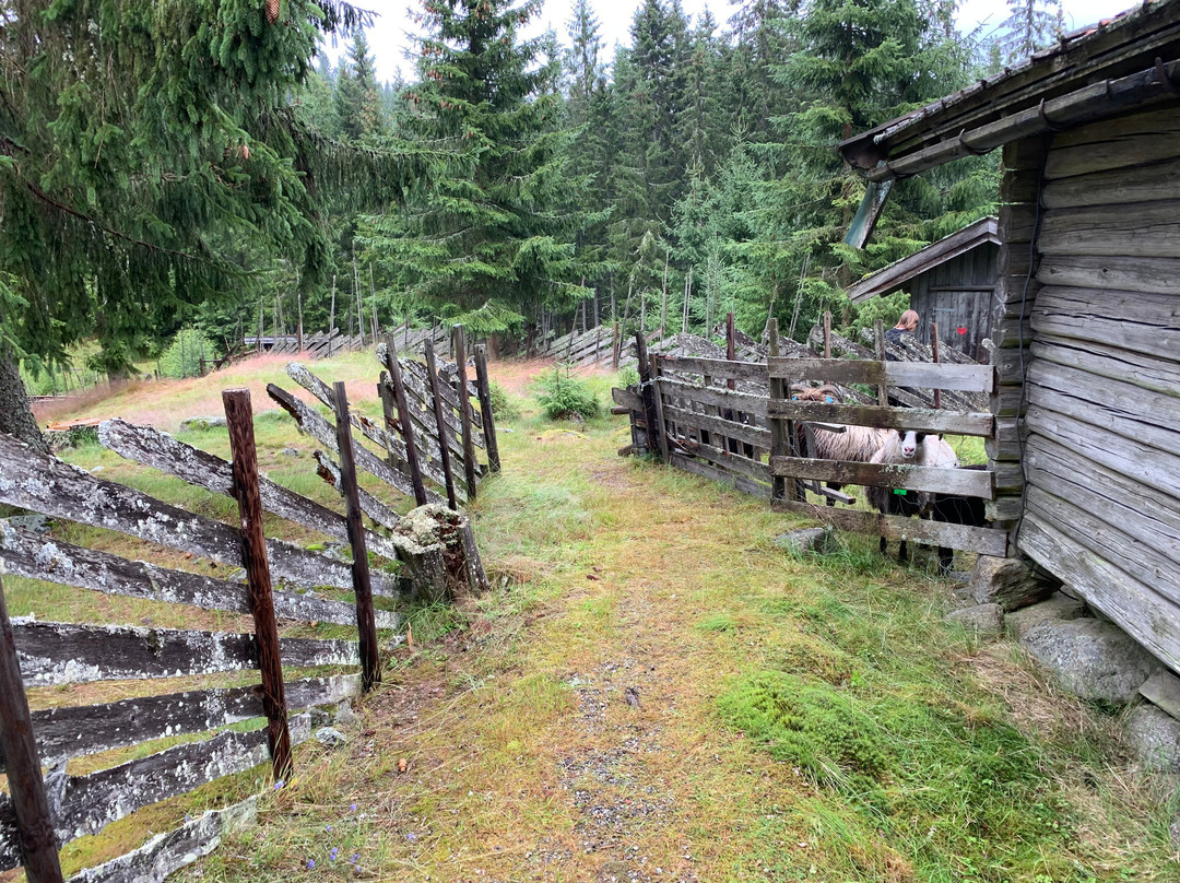 Lalumsvangen Setermuseum景点图片