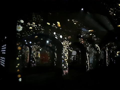 Immersivus Gallery-波尔图必去景点