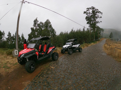 Madeira Experience-沙尔必去景点