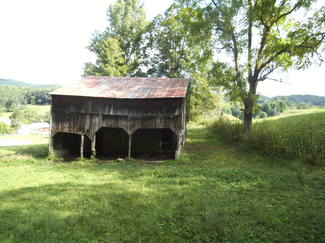 Roan Mountain Riding Company-Roan Mountain必去景点