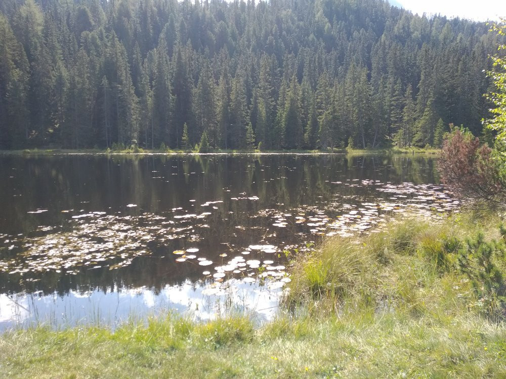 Schwarzer See景点图片