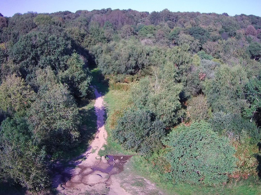 Shotover Country Park景点图片