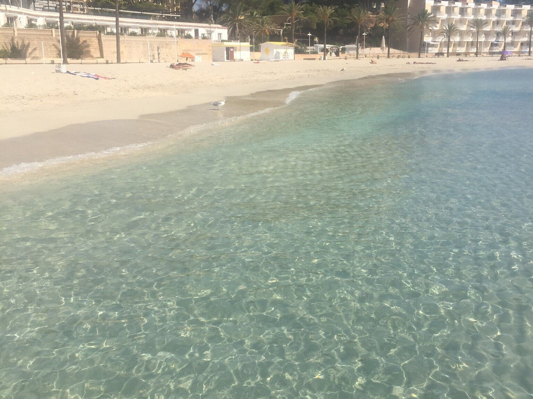 Playa Palmira景点图片