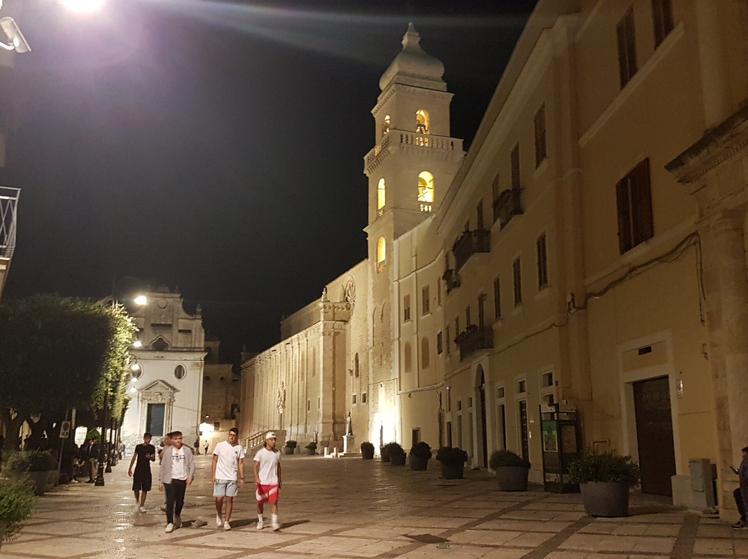 Basilica Concattedrale di Santa Maria Assunta景点图片