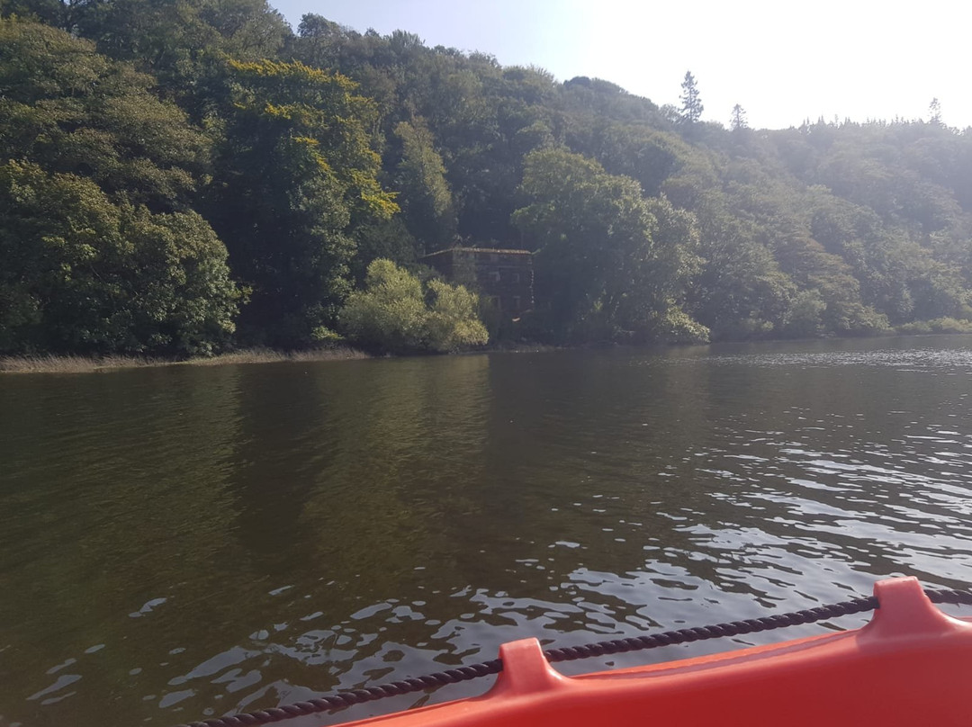 Blackwater Eco Tours-沃特福德必去景点