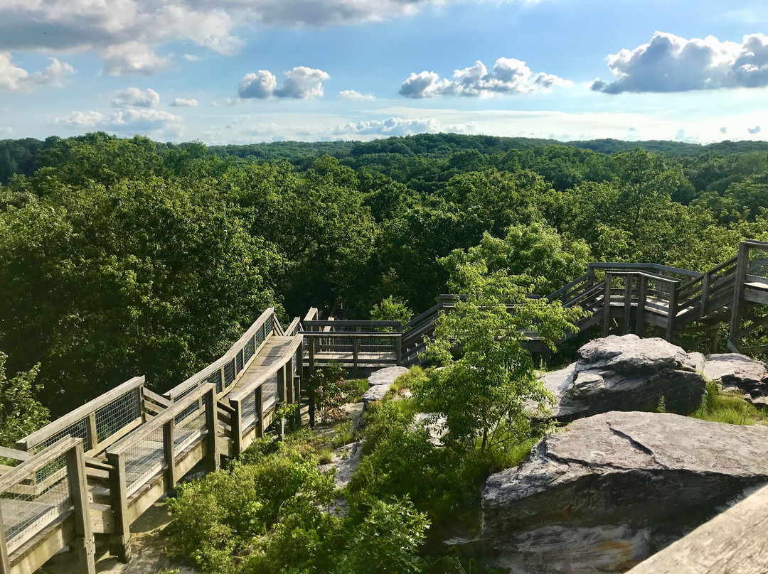 Castle Rock State Park景点图片