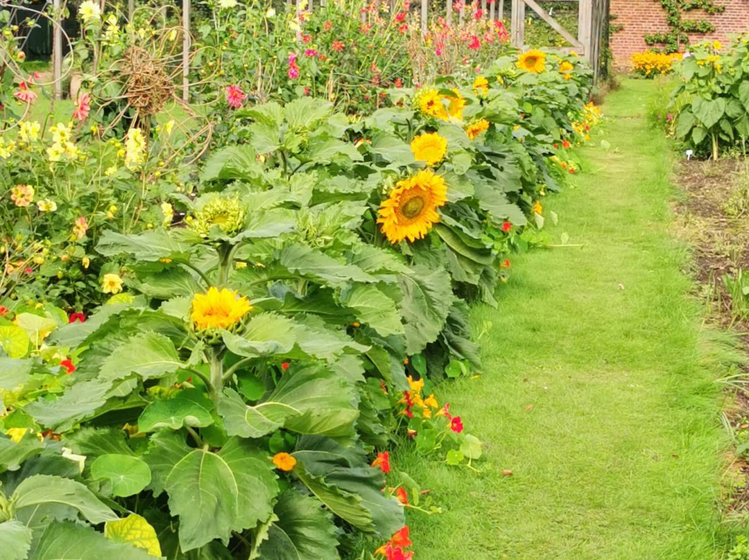 Grappenhall Heys Walled Garden景点图片