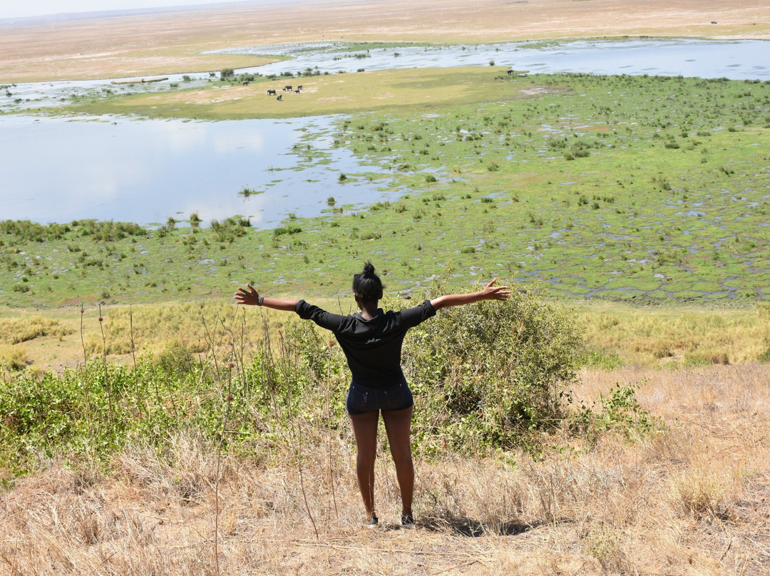 Hyrax Safaris景点图片