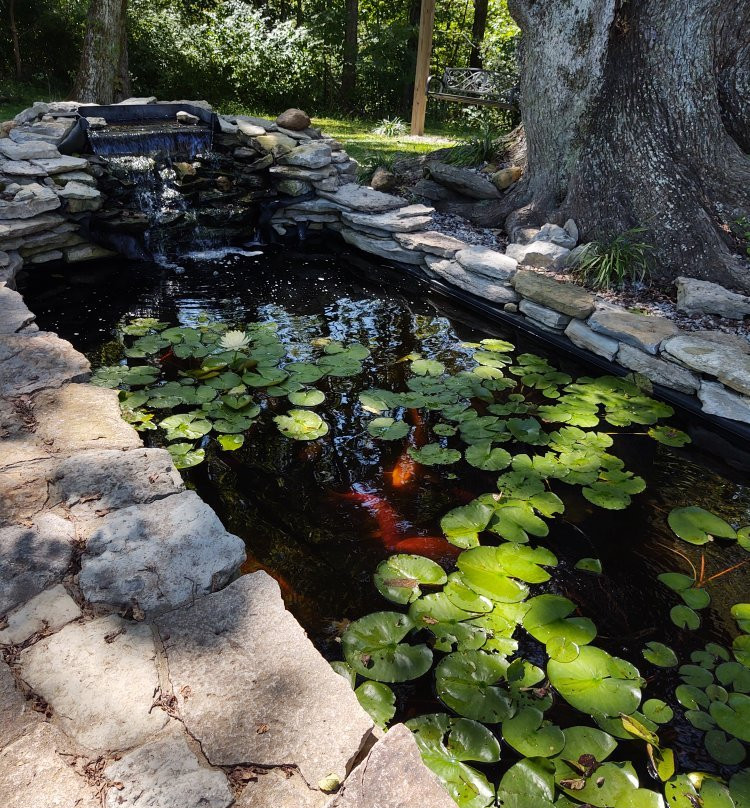 First Vineyard-Nicholasville必去景点