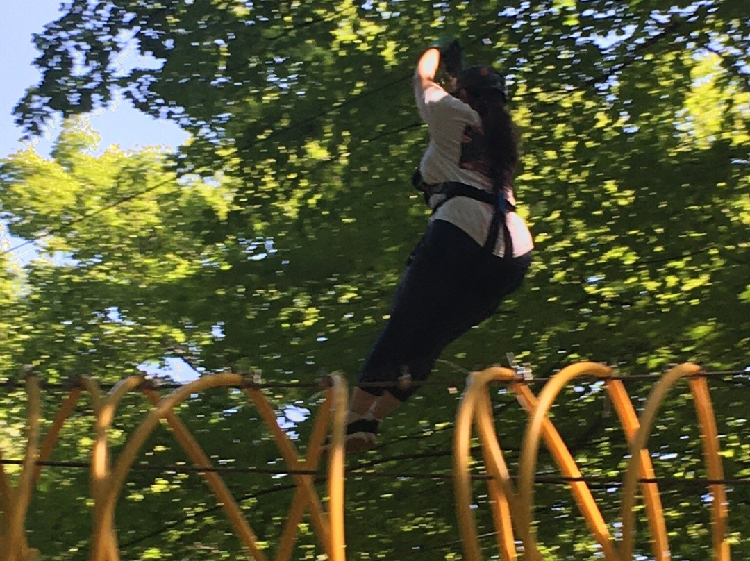 NY Zipline景点图片