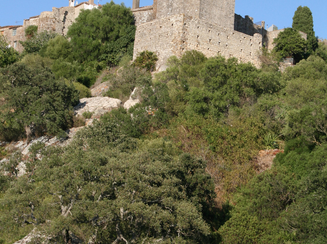 Castillo de Castellar de la Frontera景点图片