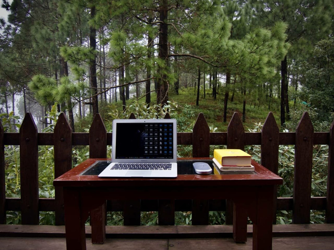 Samskara & Samsara主图