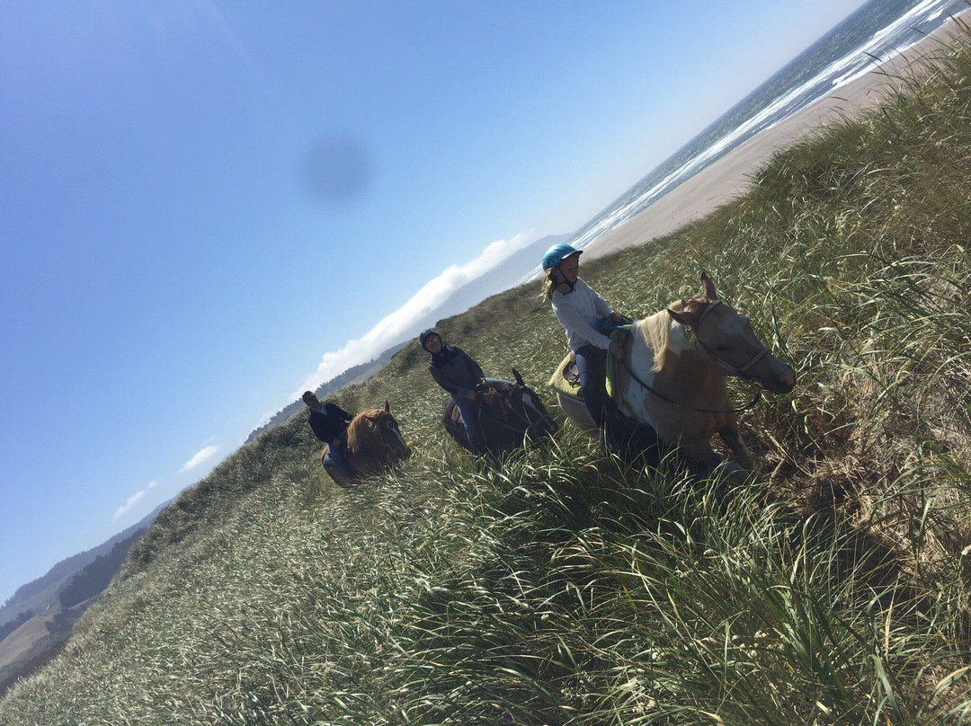 Green Acres Beach & Trail Rides-太平洋城必去景点