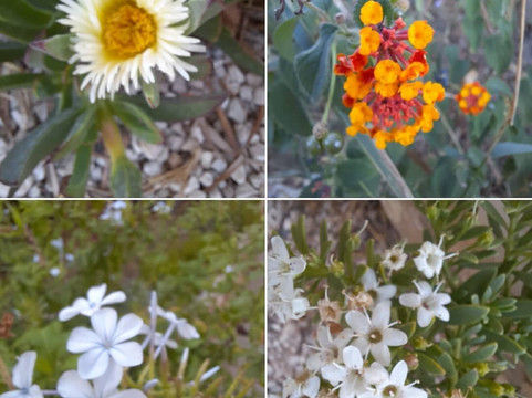 Ile de Bendor-邦多勒必去景点