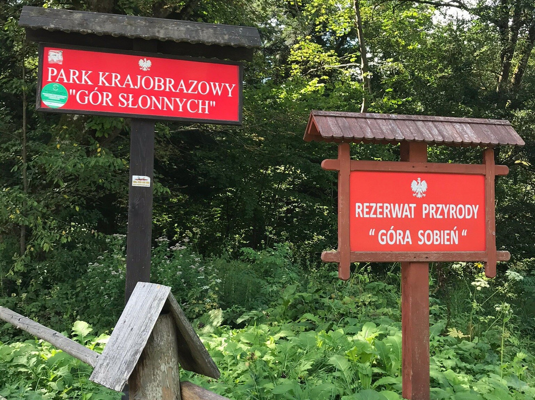 Ruiny Zamku Sobień景点图片