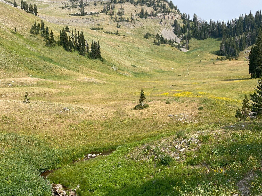 Teton Backcountry Guides-Alta必去景点