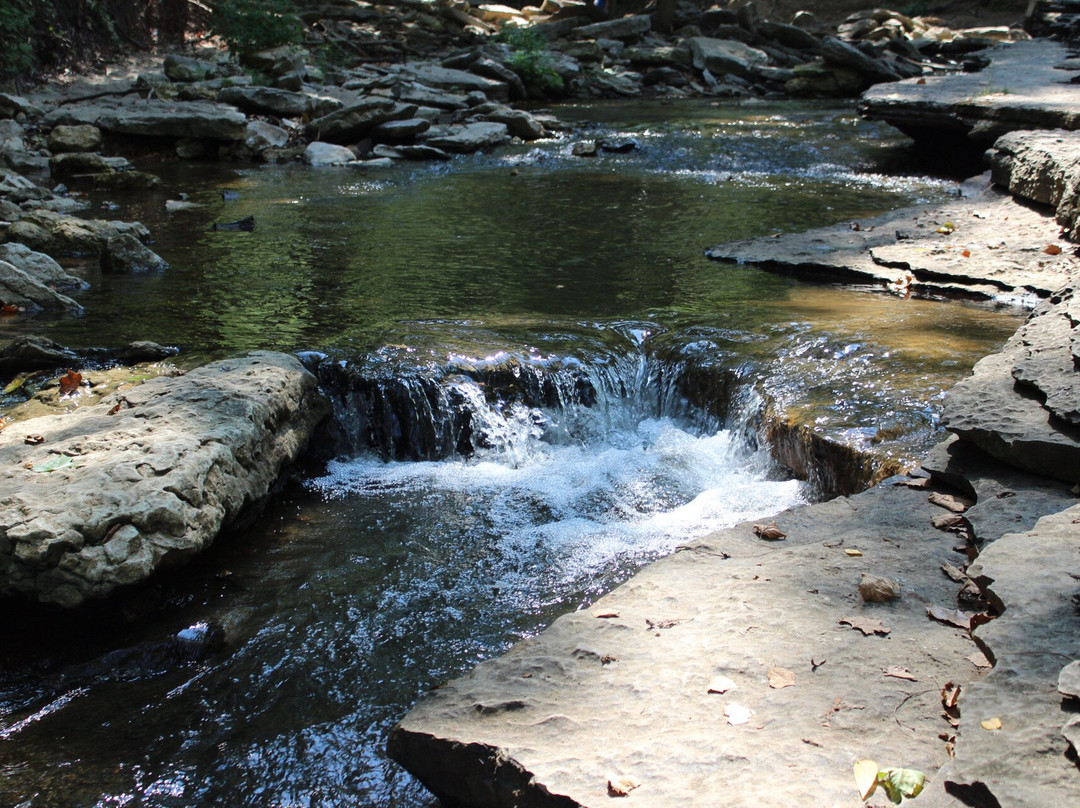 Tanyard Creek Nature Trail景点图片