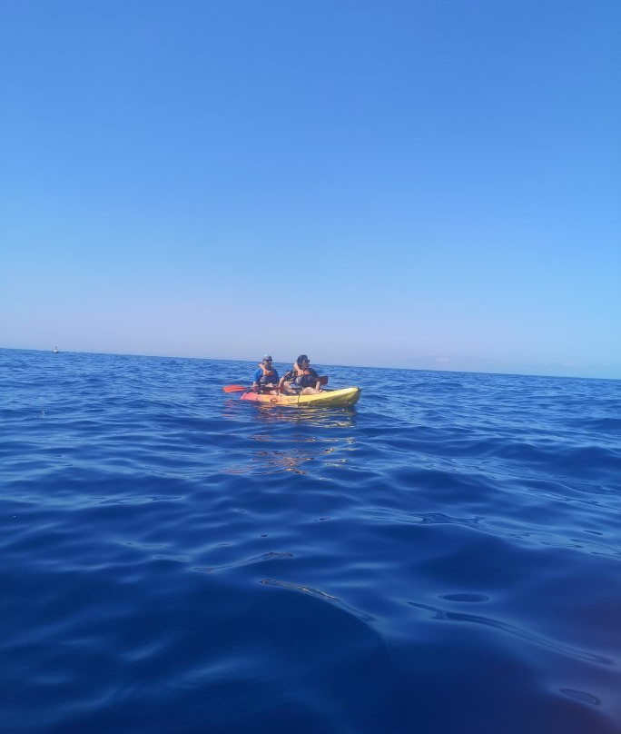 Tenerife snorkelling and kayaking-特内里费岛必去景点