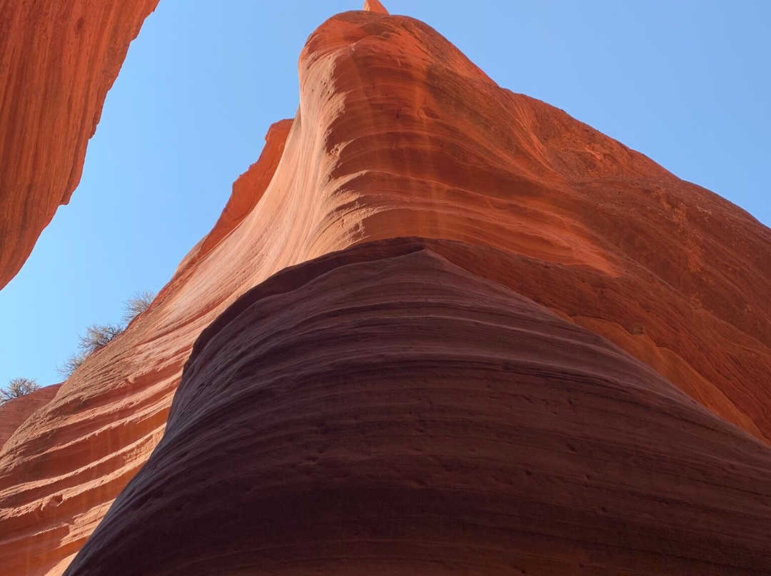 Adventure Tour Company-卡纳布必去景点