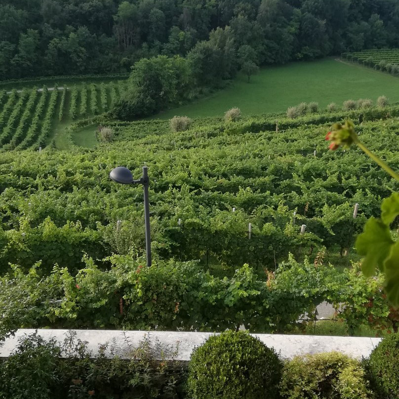 Agriturismo Vedova主图