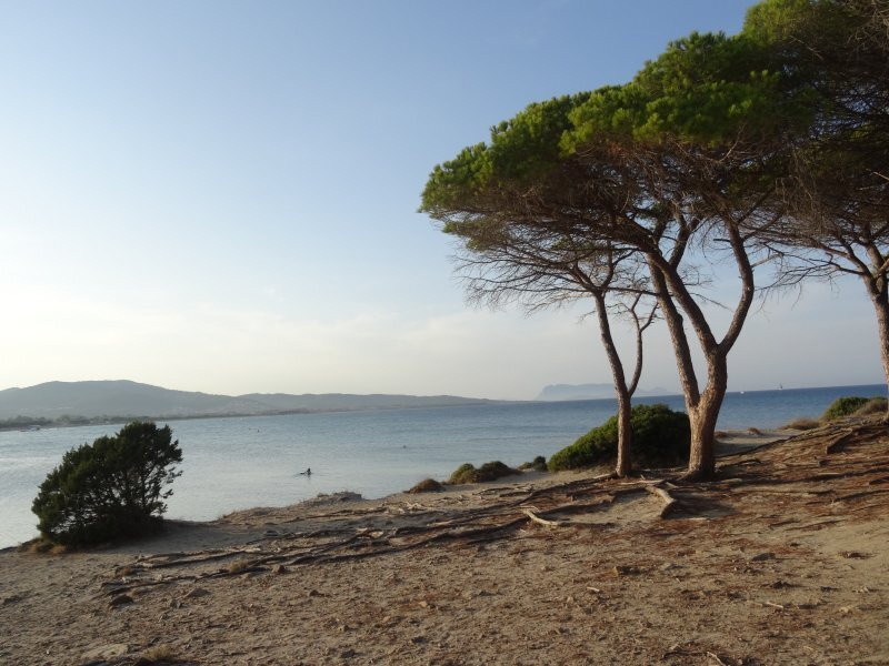 Villaggio Baia Dei Pini主图
