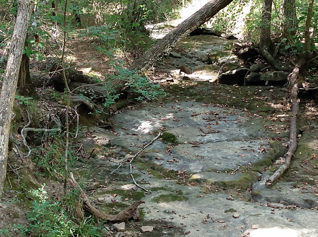 Woolly Hollow State Park景点图片