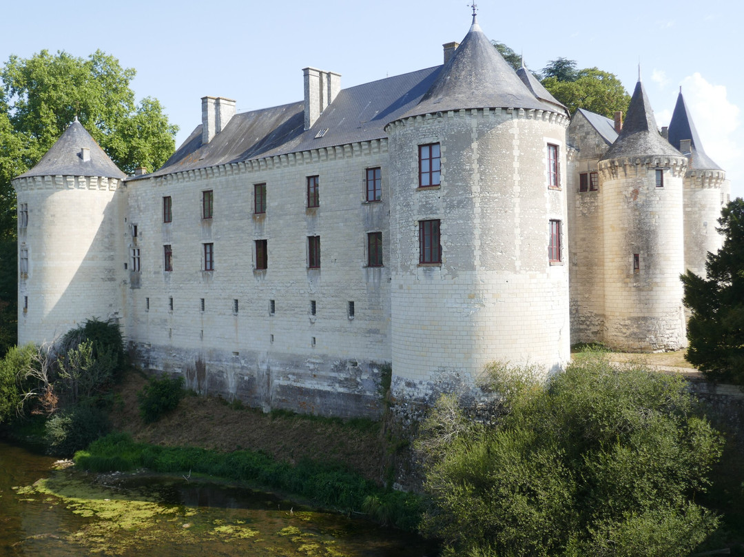 Château de la Guerche景点图片