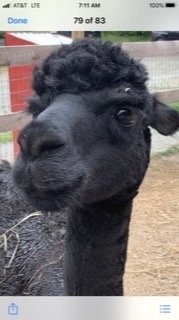 Vermont Antique Mall-Quechee必去景点