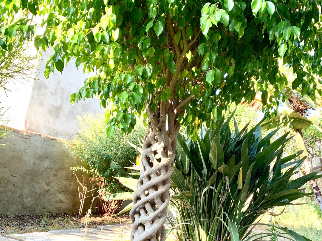 Hotel Villa Pimpina主图