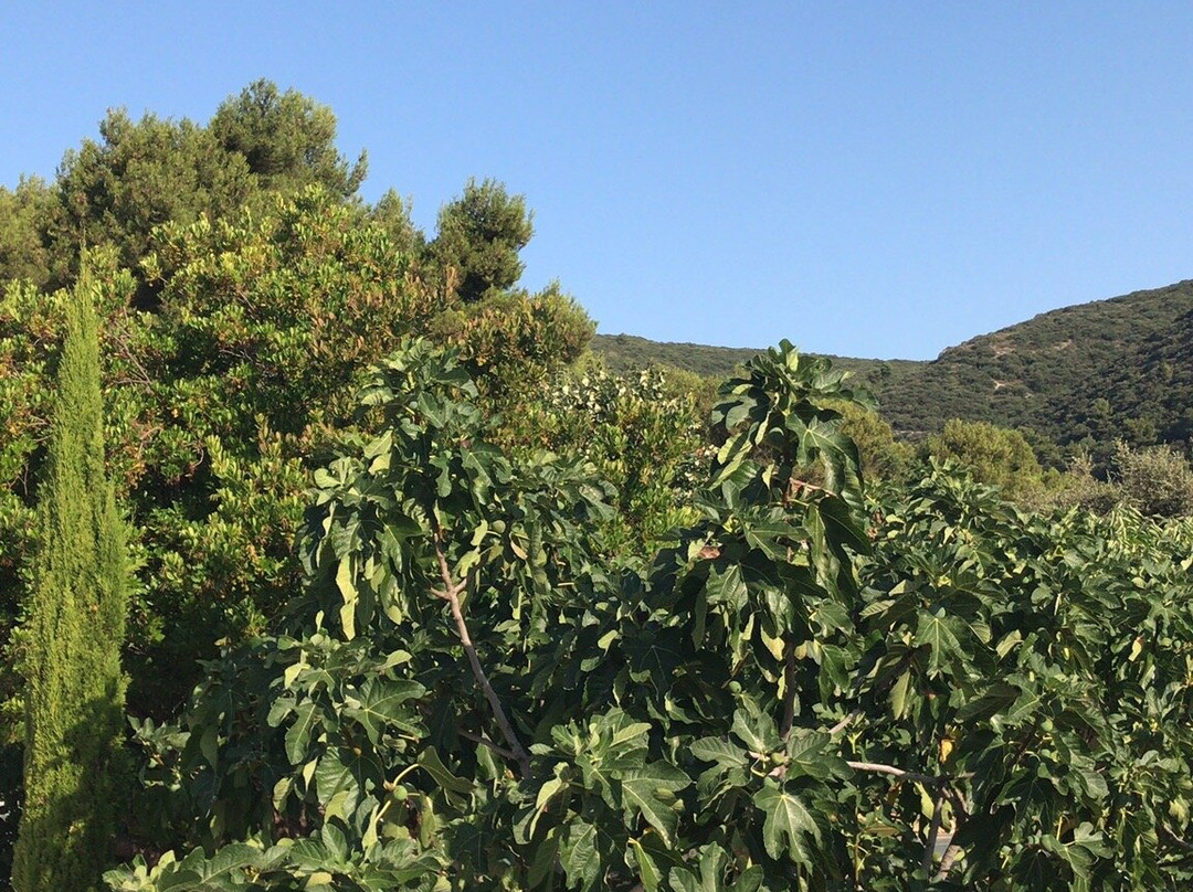 Cap Rando景点图片