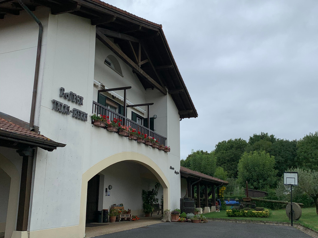 Bodega Talai Berri景点图片