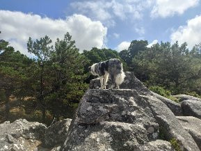 Parque Natural Monte Aloia-图伊必去景点