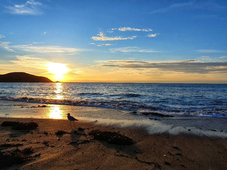 Longchamps Beach景点图片