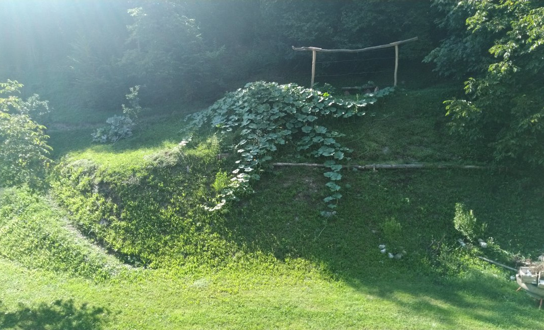 Hotel Park Oasi主图