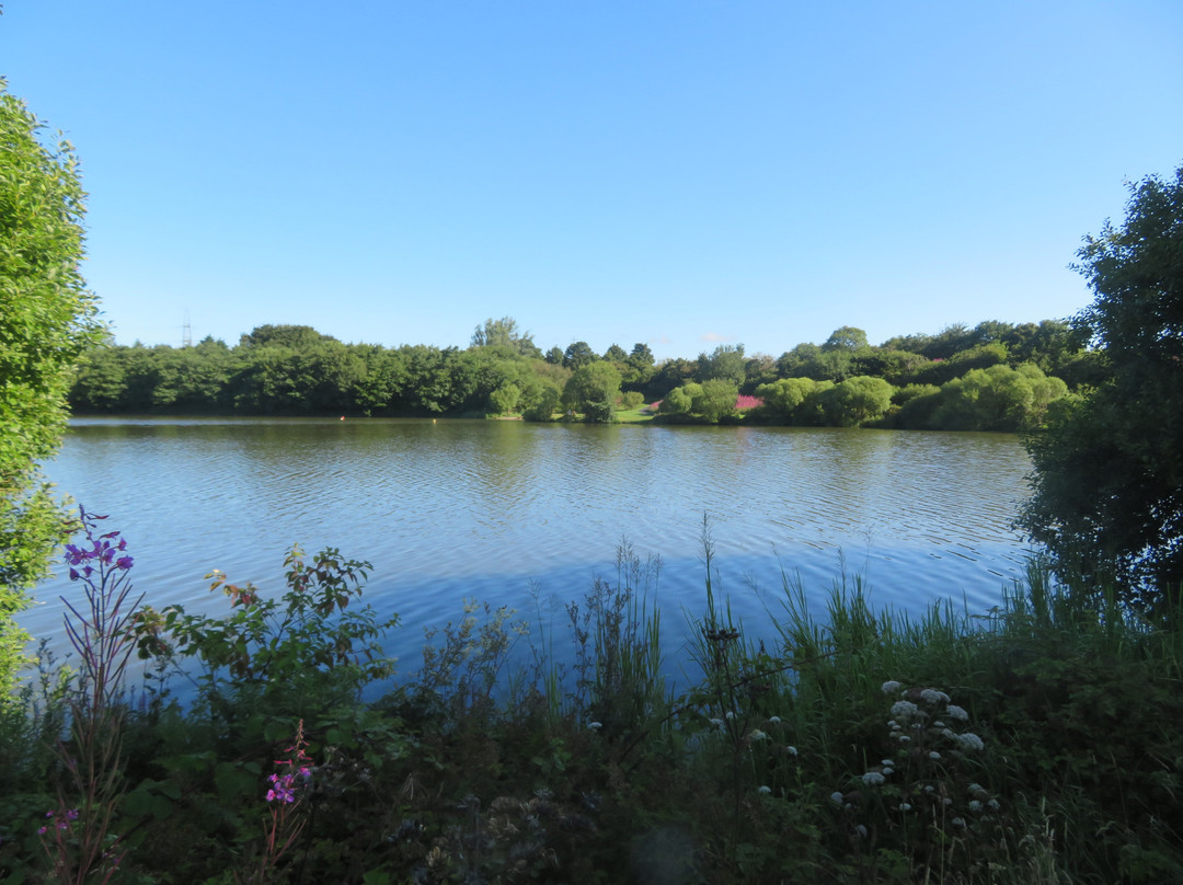 Townhill Country Park-丹弗姆林必去景点