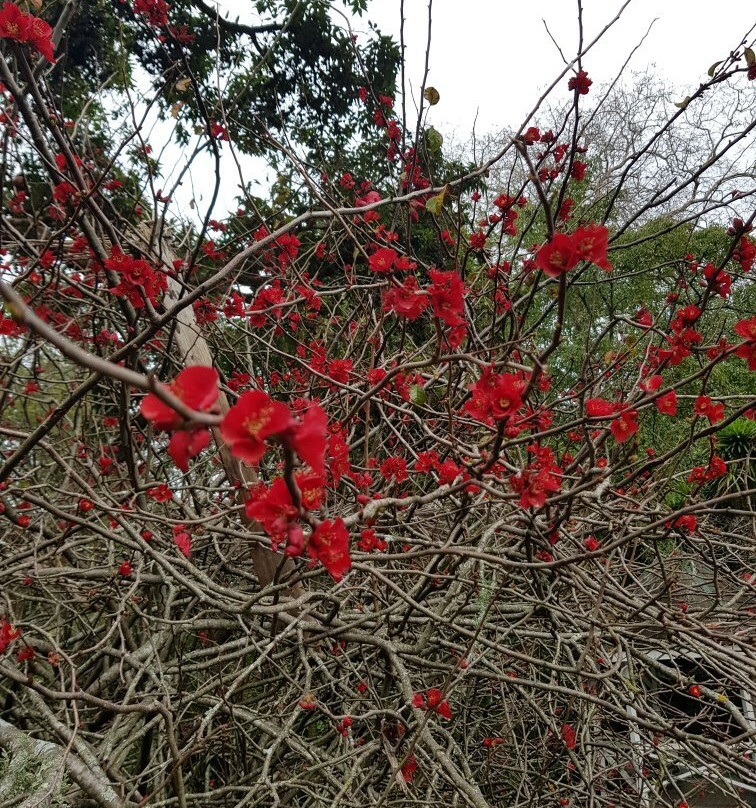 Queen's Gardens景点图片