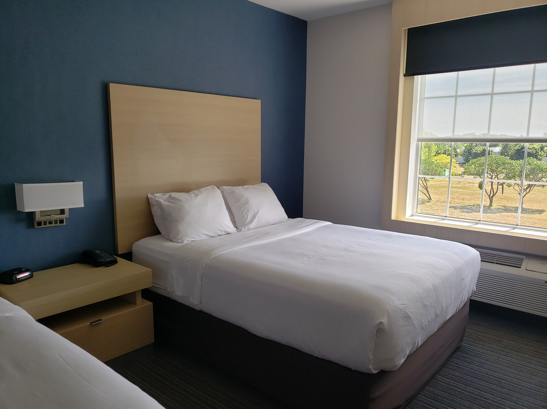 Quality Inn & Suites主图