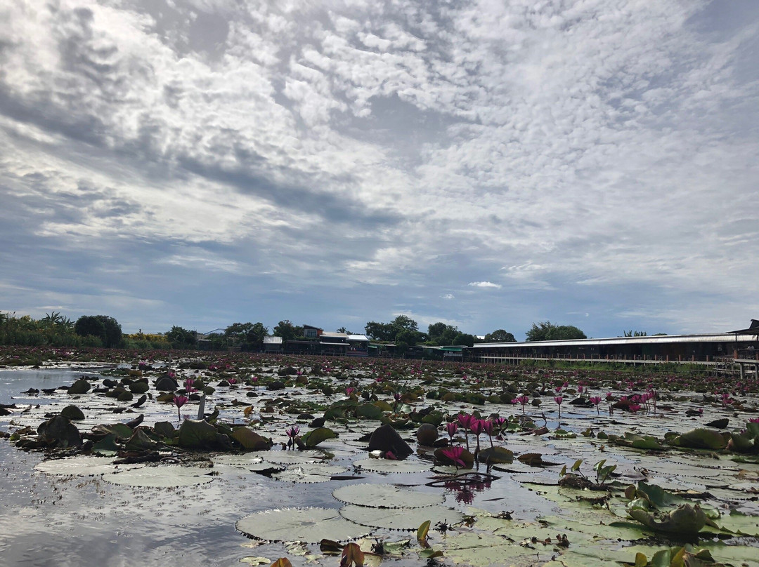 Red Lotus Floating Market-佛统必去景点