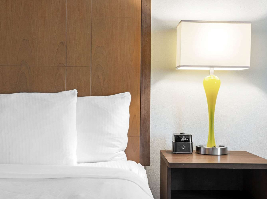 La Quinta Inn & Suites by Wyndham Brownsville North主图