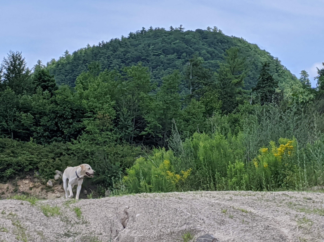 Rattlesnake Mountain via Bri-Mar Trail景点图片